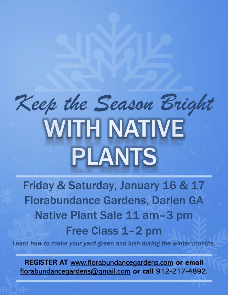 FBG Program Jan 2026